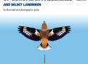Listen to Flight Identification of European Passerines & Select Landbirds - Flight Calls