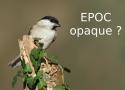 EPOC, opaque ? Tout ce qu'il faut savoir !