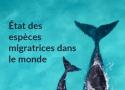 Etat des espèces migratrices dans le monde