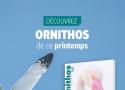 Ornithos : bientôt dans vos boîtes aux lettres !