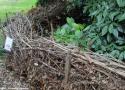 Créer une haie sèche pour aider les oiseaux et les autres petits animaux