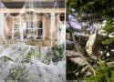 Les toiles d’araignées décoratives d’Halloween peuvent être dangereuses pour les oiseaux des jardins