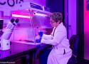 La société Colossal Biosciences nous en dit plus sur son projet de créer un « nouveau » Dodo (ou Dronte de Maurice)